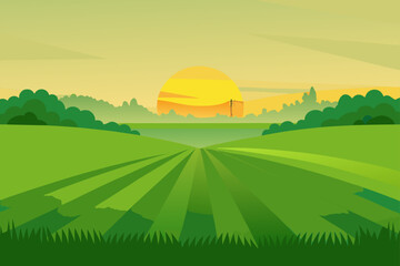vector illustration of a green field with sunset