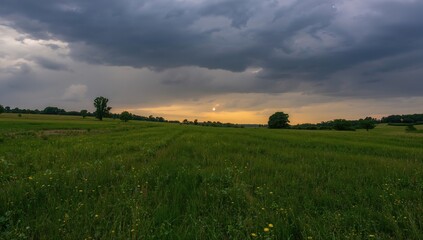 Lush grassland under overcast skies before the rain, bright summer day outdoors