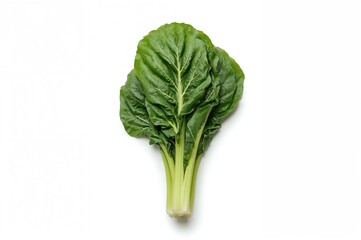 Fresh organic chard isolated on a white backdrop with full focus. Overhead shot. Flat lay style, healthy green leaves, agriculture concept, salad ingredient