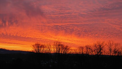 Fototapeta premium A vibrant sunset illuminating treetops, showcasing seasonal change