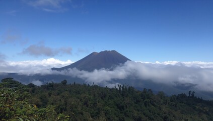 Fototapeta premium Tropic fog envelops a forested mountain peak, showcasing erosion risk,