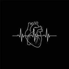 Organ Systems in the Human Body: Types, Parts, and Functions