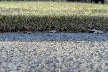 A Grassy Area Adjacent To A Pedestrian Sidewalk In Landscape.