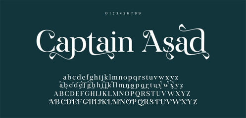 Classic alphabet letters classic font. Classic Modern Serif Lettering Minimal Fashion Designs. Typography decoration fonts for branding, wedding, invitations, logos. vector illustration