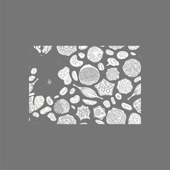 Organ Systems in the Human Body: Types, Parts, and Functions