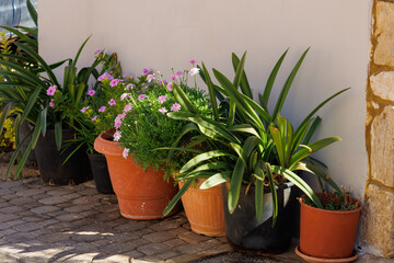 Mediterranean decor. Different kind of plants and flowers in the pots. Traditional decoration of old villages in Greece. Flower pot of various shapes and sizes on stairs in the street.