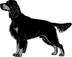 Striking black dog with a fluffy tail stands in profile, showcasing its sleek body and distinctive features against a clean white background, ideal for pet-related designs and illustrations.