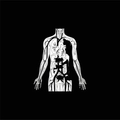 Organ Systems in the Human Body: Types, Parts, and Functions