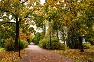 Fototapete Fallen Brick path through a beautiful autumn park with colorful trees and fallen leaves on ground. Outdoor nature scenery for season change concept.  © Eugene_Photo