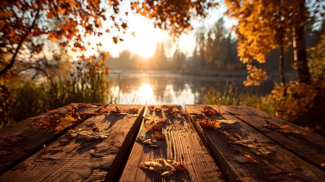 Sunlight illuminates scattered autumn foliage resting upon a weathered wooden dock beside a calm body of water. - Powered by Adobe