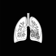 Organ Systems in the Human Body: Types, Parts, and Functions