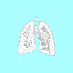 Organ Systems in the Human Body: Types, Parts, and Functions