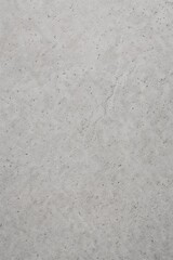 Fototapeta premium Light grey concrete texture with subtle grain, soft pores and natural surface variations. Ideal for modern backgrounds, architecture mockups and minimalist design projects.