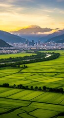 Lush Green Rice Fields and Distant Cityscape at Sunset.