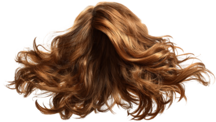 A head of wavy brown hair