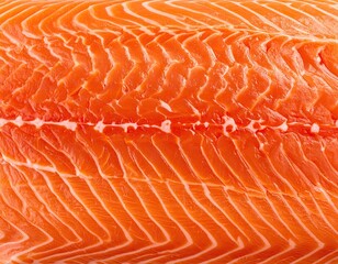 Closeup of Raw Salmon Fillet Texture