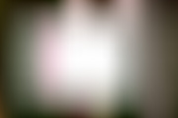 ライトリーク素材
Light Leak Material