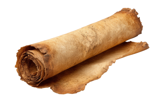 Aged scroll of parchment (2)