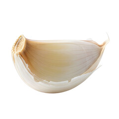 Single White Garlic Clove with Light Brown Stem Detailed Macro Isolated on White Studio Background