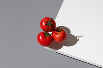 Tomates maduros frescos sobre un soporte blanco y fondo gris