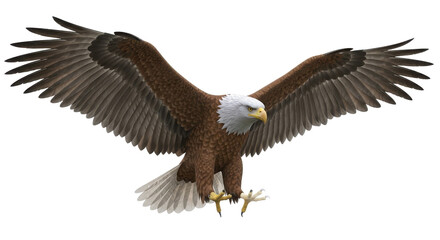 Obraz premium Majestic bald eagle in flight with wings spread wide showing detailed feathers isolated on white background