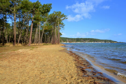 France, Landes, le lac de Biscarosse est entouré de forêts de pins, il offre un cadre paisible et idéal pour les activités nautiques, la plage de Maguide en hiver.