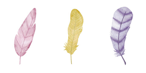 Soft watercolor feathers illustrations