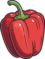Sweet red bell peppers set isolated on white background. Bell peppers in Cartoon style. Vector illustration