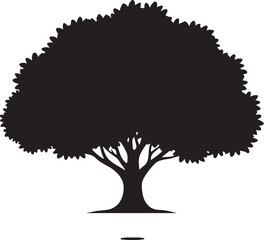 Fototapeta premium PrintSilhouette of a large deciduous tree with a full canopy