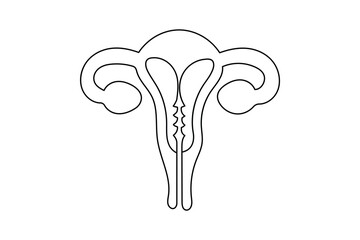 Minimalist uterus line drawing illustration on white background