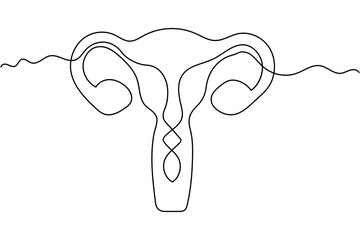 Minimalist uterus line drawing illustration on white background