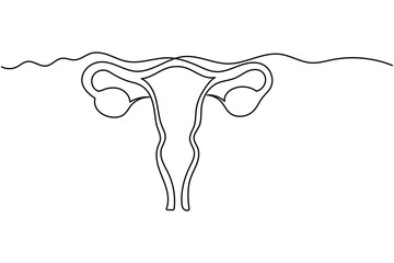 Minimalist uterus line drawing illustration on white background