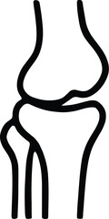 Simple line drawing of a human knee joint anatomy