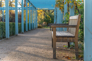 Quiet pergola walkway with a wooden bench. Soft autumn colors frame the path.