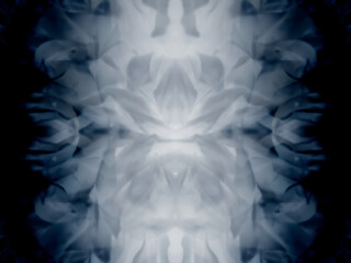 モノトーンマクロ花びら　背景