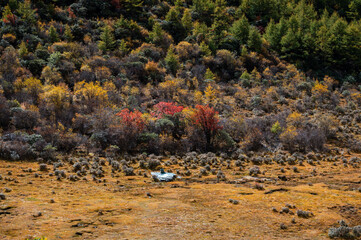 Autumn forest vistas in the highland valleys