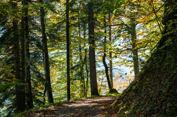 Obraz premium Vorarlberg, Brandertal