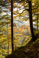 Vorarlberg, Brandertal