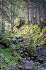 Fototapeta premium Vorarlberg, Brandertal