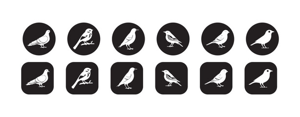 Nature Bird Icons Set, Vector Black & White Minimal Style, Flat Bird Emblem, Bird Vector Symbols, vector illustration EPS 10.