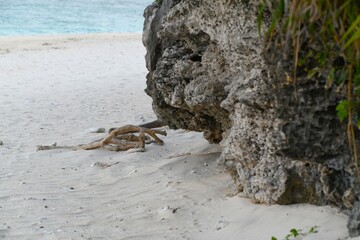 沖縄 瀬底ビーチ