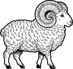 Detailed Vintage Illustration of a Ram with Curly Horns — Hand-Drawn Sheep Animal Artwork