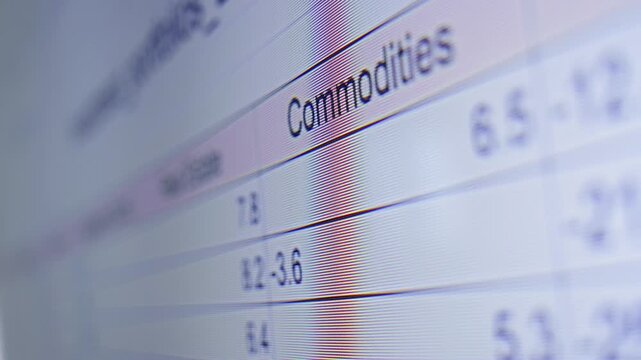 A digital spreadsheet accounting for profits and cash outflows for various stocks, An analyst reviews spreadsheets with coefficient calculations. High quality 4k footage