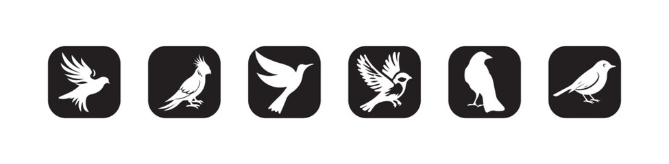 Black and White Bird Icon Set, Vector Silhouette Logos, vector illustration EPS 10.
