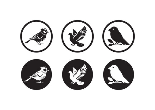 Flat Bird Logo Icons, Vector Silhouettes for Apps & Branding Round, bird icon symbol, vector illustration EPS 10.