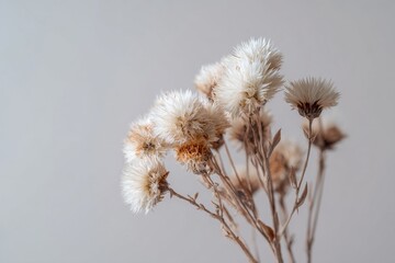 Intricately detailed dried flowers with transparent petals displaying their organic beauty in a setting with soft illumination
