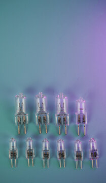 Ten halogen capsule lamps on a gradient background. Top row G6.35, bottom row G4. Bipin contacts, glass flasks, subject shooting.