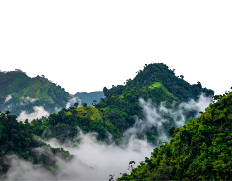 Mist-Covered Green Mountains with Dense Tropical Vegetation, Dramatic Nature Scene PNG