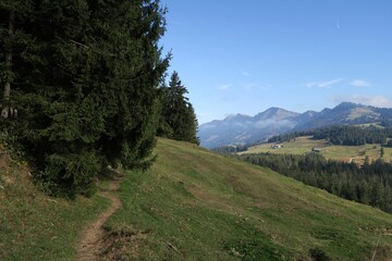 Vom Steinernen Tor in Riefensberg in Vorarlberg f&uuml;hrt dieser Weg zur Bergstation auf dem Imberg in Oberstaufen. Er verl&auml;uft auf dem Kojen-Schichtkamm. Im Hintergrund ist die Hochgratkette zu sehen.