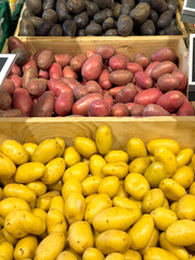 Different varieties of potatoes on market stall